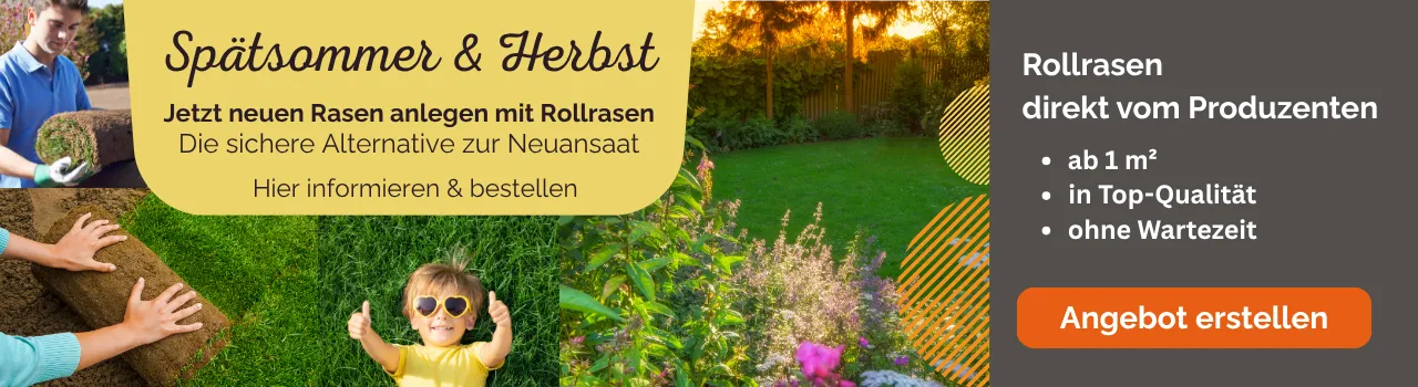 Rollrasen ist im Spätsommer und Herbst die sichere Alternative zur Neuansaat eines Rasens. Ihr neuer Rasen ist schnell nutzbar und dicht. Einfach Rollrasen bestellen und abholen oder liefern lassen. Rollrasen kaufen direkt vom Feld.