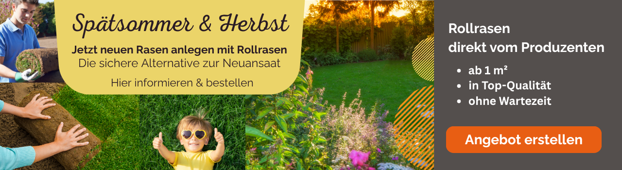Rollrasen ist im Spätsommer und Herbst die sichere Alternative zur Neuansaat eines Rasens. Ihr neuer Rasen ist schnell nutzbar und dicht. Einfach Rollrasen bestellen und abholen oder liefern lassen. Rollrasen kaufen direkt vom Feld.