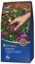 Bunte Blumenwiese