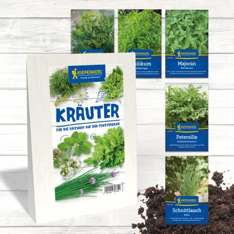 Bundle "Kräuter zur Anzucht auf der Fensterbank"