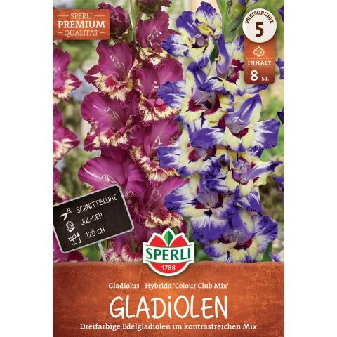 8 Gladiolen 'Color Club Mischung'