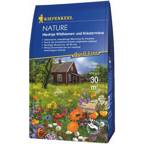 Wildblumen- und Kräuterwiese