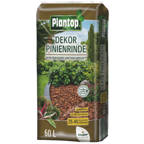 Pinienrinde Dekor