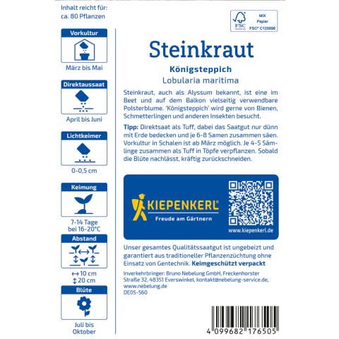 Steinkraut "Königsteppich" violett
