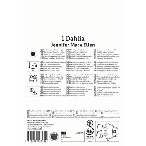 Dahlie "Jennifer Mary Ellen"