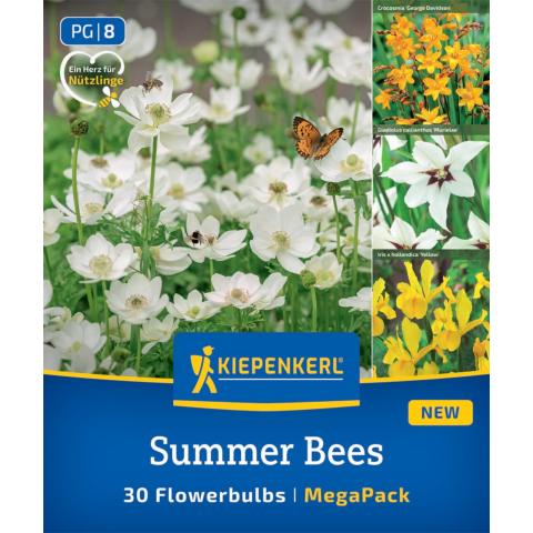"Summer Bees" (30 Blumenzwiebeln)