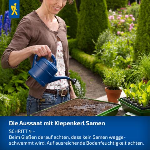 Schritt 4