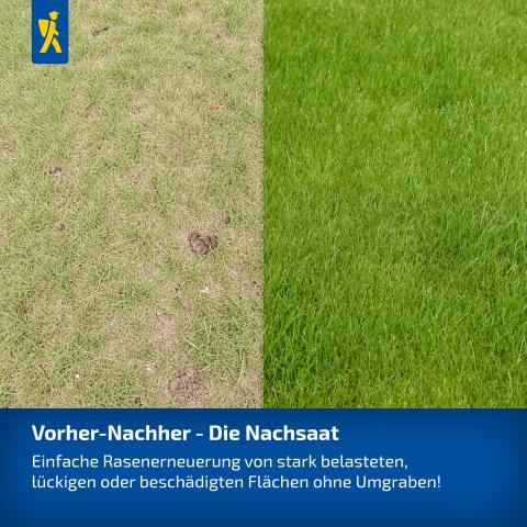 Profi Line "Premium Nachsaat-Rasen" 1kg