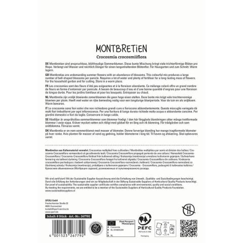 8 Montbretien 'Kleinblumiger Mix'