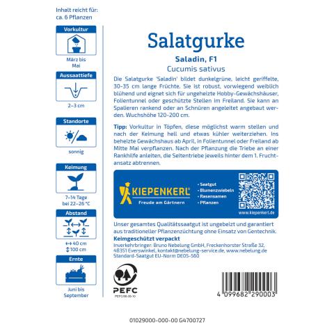 Salatgurke 'Saladin', F1