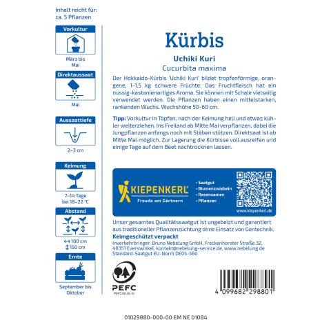Kürbis 'Uchiki Kuri'