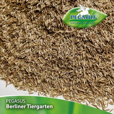 Berliner Tiergarten (Gebrauchsrasen) ab 1kg