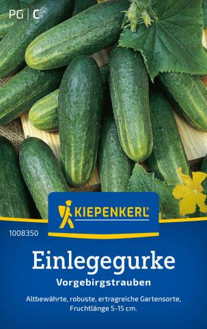 Saatgut Einlegegurken "Vorgebirgstrauben"