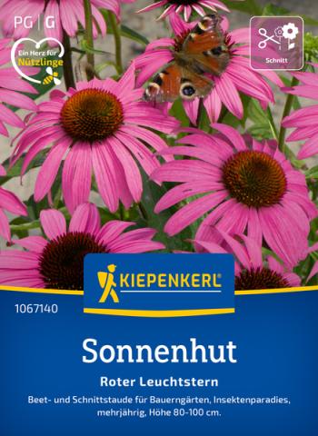 Sonnenhut "Roter Leuchtstern"