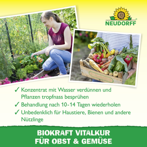 Vitalkur Obst & Gemüse