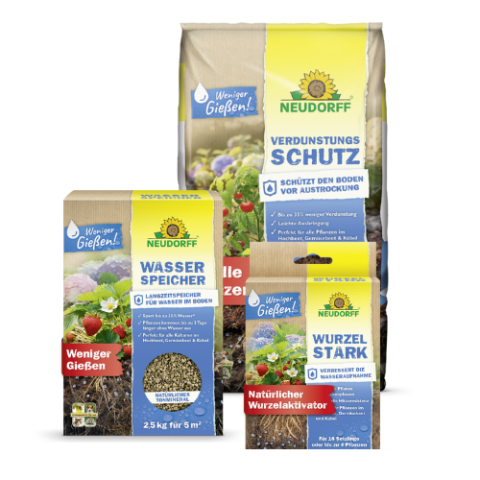 Wasser sparen Set