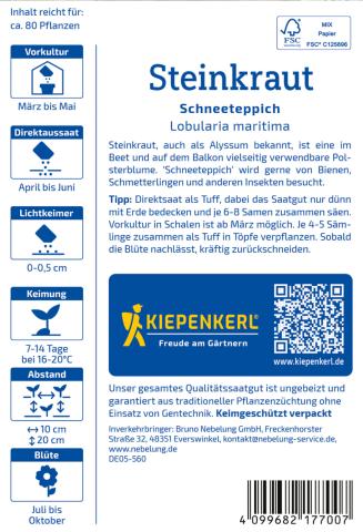 Steinkraut "Schneeteppich"