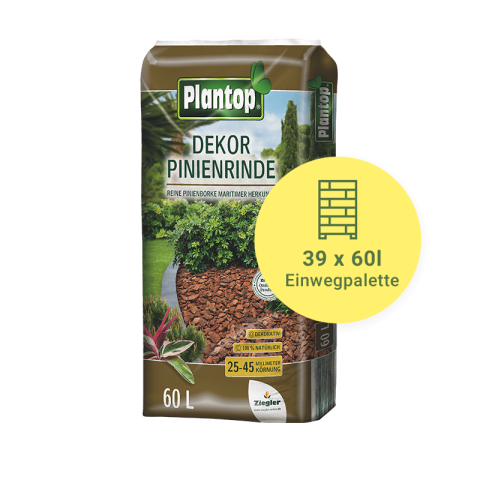 Pinienrinde Dekor