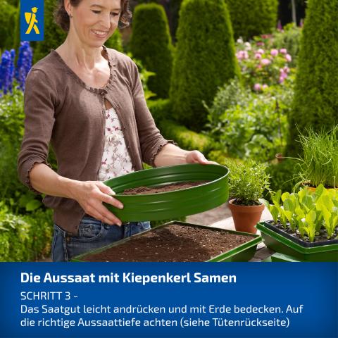 Schritt 3