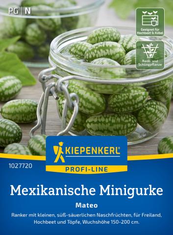 Mexikanische Minigurke "Mateo"