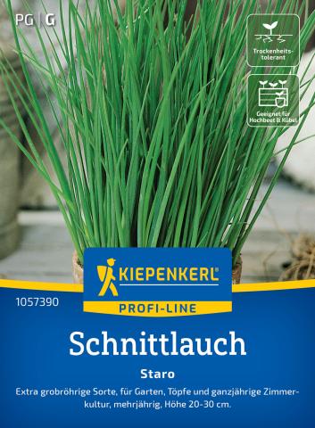 Schnittlauch 'Staro'