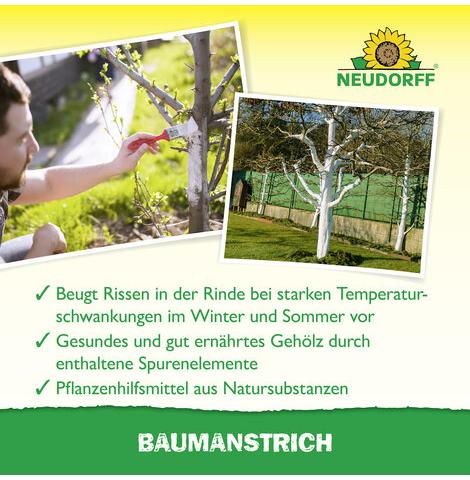 Bio-Baumanstrich (Pflegecreme für Bäume)