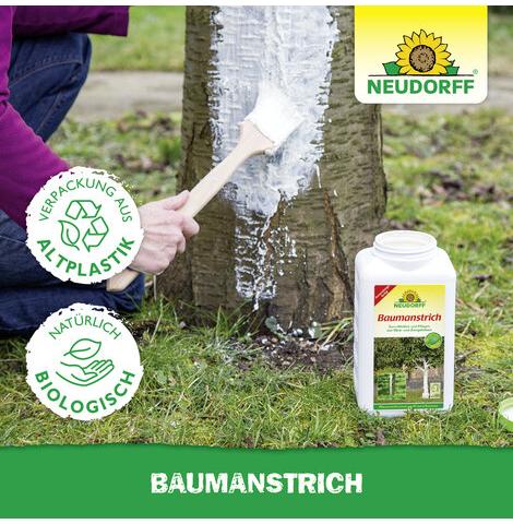 Bio-Baumanstrich (Pflegecreme für Bäume)