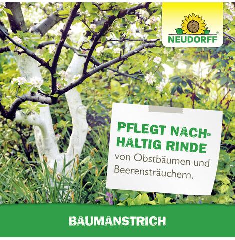 Bio-Baumanstrich (Pflegecreme für Bäume)