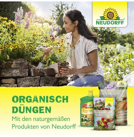 Azet® Beeren- & Obstdünger 750g
